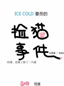 ICE-Cold人员的捡猫事件海报