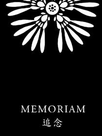 Memoriam -追念-海报