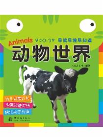 动物世界海报