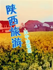 陕西旅游-油菜花海报